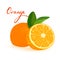 Cartoon juicy orange fruit