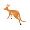 Cartoon jumping kangaroo character funny animal