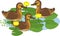 Cartoon juvenile mallards or wild ducks Anas platyrhynchos afloat and yellow water-lily plants with green leaves