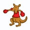 Cartoon kangaroo boxing funny collection