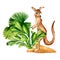 Cartoon kangaroo watercolor illustration isolated on white background. Cute australian animal wallaby, palm leaves hand