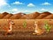 Cartoon kangaroos in the dry land landscape