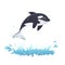 A cartoon killer whale jumping out of the sea