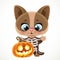 Cartoon kitten in Halloween skeleton costume with pumpkin lantern isolated on a white background