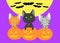 Cartoon kittens with pumpkin jack-o-lanterns and bats flying behind