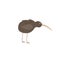 Cartoon Kiwi bird - native New Zealand animal with long beak