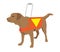 Cartoon labrador retriever rescue. Lifeguard dog Squadron. vector illustration. Guide dog is helping for blind man in the city.