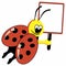 Cartoon ladybird