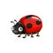 Cartoon ladybug vector icon, funny ladybird insect