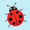 Cartoon ladybug vector illustration
