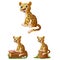 Cartoon leopard sitting collections set