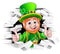 Cartoon Leprechaun St Patricks Day