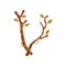 Cartoon letter V in form of tree branch with green leaves.