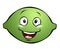 Cartoon Lime