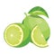 Cartoon lime. Fresh vitamin fruit. Juicy citrus cut into slices. Drawing for children. Illustration on white background.