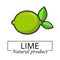Cartoon lime icon