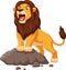 Cartoon lion roaring isolated on white background