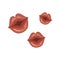 Cartoon lips kisses for Valentine`s day.