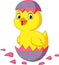 Cartoon little chick hatching from an Easter egg