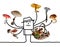 Cartoon Man with Multi Mushrooms Picking