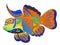 Cartoon mandarin fish