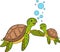 Cartoon marine animals. Mother sea turtle swims with her little cute baby turtle and smile