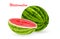 Cartoon mellow watermelon fruit