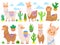 Cartoon mexican alpaca. Funny llamas, cartoon cute animal and llama with desert cactus vector set
