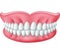 Cartoon model of teeth on white background