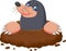 Cartoon mole gesturing