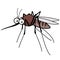 Cartoon mosquito. Vector illustration