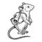 Cartoon mouse and backpack sketch engraving vector