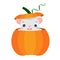 Cartoon mouse. Little Cute rat sit in pumpkin