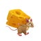Cartoon mouse or rat and large piece of cheese,