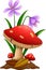 Cartoon mushroom isolated white background
