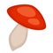 Cartoon mushroom with red hat isolated on white