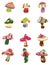 Cartoon Mushrooms icon