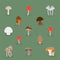 Cartoon mushrooms. Isolated vector illustration set. Forest wild mushrooms types.