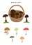 Cartoon mushrooms. Poisonous and edible mushroom, isolated vector illustration set. Forest wild mushrooms types.