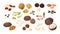 Cartoon nuts. Almond peanut walnut hazelnut pistachio macadamia pecan flax coconut sunflower pumpkin flat detailed seeds