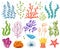 Cartoon ocean plants. Anemones, corals and seaweed, marine kelp, aquarium plants. Underwater reef flora vector