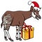 Cartoon okapi animal character with gift on Christmas time