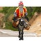 Cartoon old man with a beard rides a donkey
