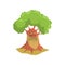 Cartoon old oak with long beard. Humanized forest tree with green foliage. Natural landscape element. Colorful flat