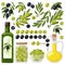 Cartoon olive. Black and green olives, olive tree branches and extra virgin olive oil, healthy organic olive products