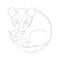 cartoon opossum, vector illustration, lining draw