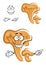 Cartoon orange chanterelle mushroom character
