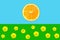 Cartoon with orange slice as sun on blue sky background green grass with yellow flowers. Creative poster banner for kids