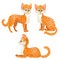 Cartoon orange tabby cat set