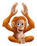 Cartoon OrangUtan Animal Character